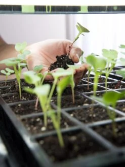 LED Stack-n-Grow Lights - Base Unit 9 LED Stack-n-Grow Lights - Base Unit -Garden Care Shop 8595770 7373 tif