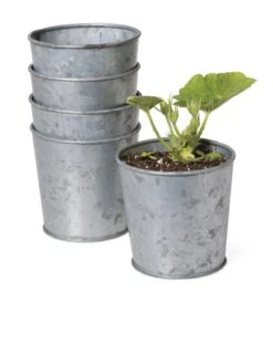 Galvanized Planting Cups, Set Of 5