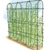 Titan Pea Tunnel -Garden Care Shop 8596275 0002 1 tif