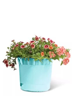 Eezy Gro Self-Watering Planters 14 Eezy Gro Self-Watering Planters -Garden Care Shop 8596426 103 tif
