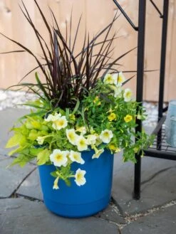 New Arrival -Garden Care Shop 8596427 0035 tif