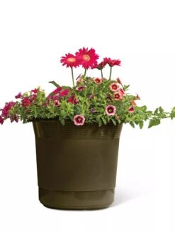 Eezy Gro Self-Watering Planters 12 Eezy Gro Self-Watering Planters -Garden Care Shop 8596427 108 tif