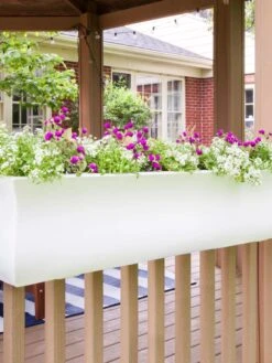 Valencia Window Box, 4' -Garden Care Shop 8596437 006V tif