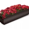 Valencia Window Box, 4' -Garden Care Shop 8596437 10V tif