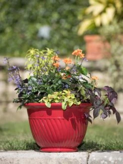 Mazzano Self-Watering Planters -Garden Care Shop 8596564 4883 tif