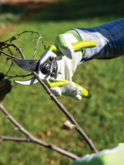 Gardener's Pro Pruner #2 -Garden Care Shop 8596605 032 tif