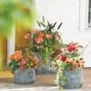 Galvanized Ribbed Planters -Garden Care Shop 8597436 1680 tif