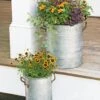 Galvanized Rim Planters -Garden Care Shop 8597442 1700 tif
