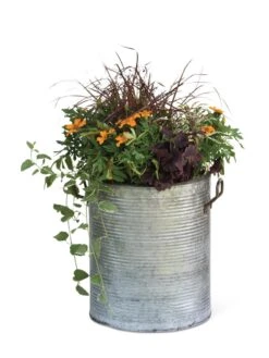 Galvanized Rim Planters -Garden Care Shop 8597443 1704 tif