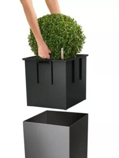 Lechuza® Cube Premium Planters -Garden Care Shop 8597506 04V tif