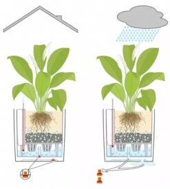 Lechuza® Cube Premium Planters -Garden Care Shop 8597506 05V tif