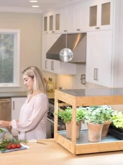 Low Bamboo LED Grow Light Garden -Garden Care Shop 8597720 0816 tif