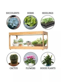 Low Bamboo LED Grow Light Garden -Garden Care Shop 8597720 3