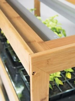 Bamboo LED Grow Light Garden For Succulents And Seeds 17 Bamboo LED Grow Light Garden For Succulents And Seeds -Garden Care Shop 8597720 7795 tif 2