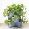 Stacking Strawberry Pot 1 Stacking Strawberry Pot -Garden Care Shop 8597996 9004 tif