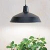 Barnyard Pendant LED Grow Light -Garden Care Shop 8598025 8139 tif