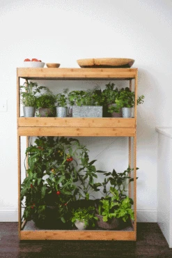 Bamboo Home LED Grow Light Garden -Garden Care Shop 8598088 BambooLEDHomeGarden light gif