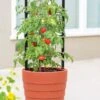 Gardener’s Victory Self-Watering Planter With Support System 2 Gardener’s Victory Self-Watering Planter With Support System -Garden Care Shop 8598384 6012 tif