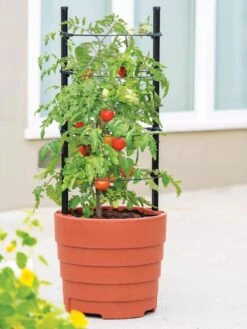 Gardener’s Victory Self-Watering Planter With Support System
