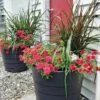 Gardener’s Victory Self-Watering Patio Planter -Garden Care Shop 8598395 4390 tif