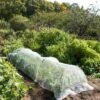 Insect Protection Tunnel -Garden Care Shop 8598536 8225 tif