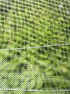 Garden Care Shop -Garden Care Shop 8598536 9160 tif