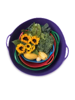 Colorful Tubtrug, 3-1/2 Gallon -Garden Care Shop 8599088 20GalTubTrug gif 1