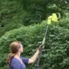 Sun Joe® Electric Telescoping Pole Hedge Trimmer, 4 Amp -Garden Care Shop 8599169 01v sun joe electric telescoping pole hedge trimmer