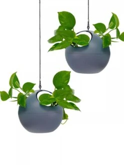 Exaco Euro Hanging Planters, Set Of 2 9 Exaco Euro Hanging Planters, Set Of 2 -Garden Care Shop 8599179 04V tif