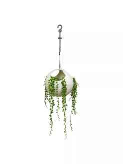 Exaco Euro Hanging Planters, Set Of 2 8 Exaco Euro Hanging Planters, Set Of 2 -Garden Care Shop 8599179 06V tif