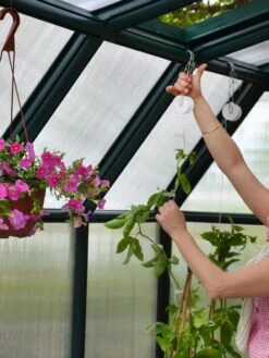 Canopia® By Palram Hobby Gardener Greenhouse, 8' 23 Canopia® By Palram Hobby Gardener Greenhouse, 8' -Garden Care Shop 8599331 04V tif