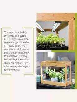 Bamboo Mini LED Grow Light Garden -Garden Care Shop 8599624 06