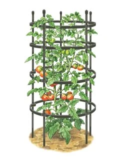 Titan Tomato Cages, Set Of 3 -Garden Care Shop 8599861 0001 art tif