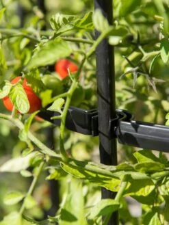 Titan Tomato Cages, Set Of 3 -Garden Care Shop 8599861 0079 tif