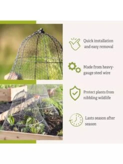 Chicken Wire Cloche With Extension 17 Chicken Wire Cloche With Extension -Garden Care Shop 8600116 3