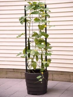 Gardener’s Victory Self-Watering Planter Garden With Vine Trellis 11 Gardener’s Victory Self-Watering Planter Garden With Vine Trellis -Garden Care Shop 8600177 9876 tif