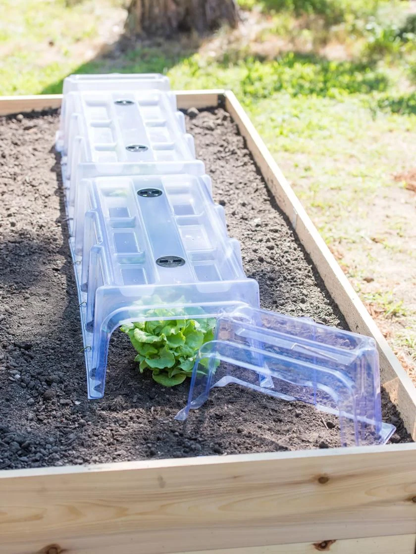 Cool Weather Row Cloche Ends, Set Of 2 3 Cool Weather Row Cloche Ends, Set Of 2