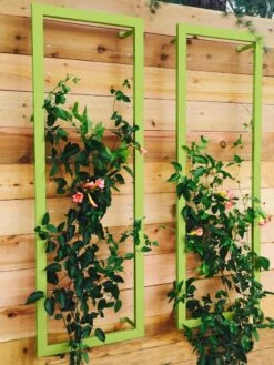 Ina Modern Wall Trellis Sr. -Garden Care Shop 8600510 01V tif