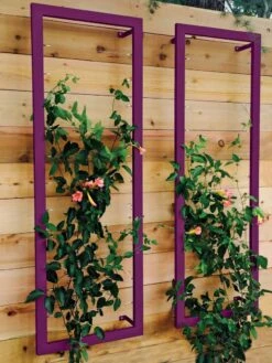Ina Modern Wall Trellis Sr. -Garden Care Shop 8600510 02V tif