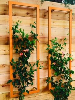 Ina Modern Wall Trellis Sr. -Garden Care Shop 8600510 04V tif