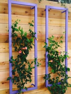 Ina Modern Wall Trellis Sr. -Garden Care Shop 8600510 07V tif