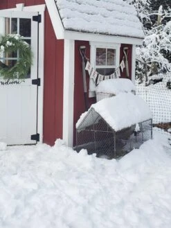 Chicken Wire Crop Coop 24 Chicken Wire Crop Coop -Garden Care Shop 8609080 03IN tif