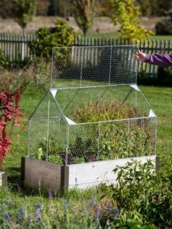 Chicken Wire Crop Coop 21 Chicken Wire Crop Coop -Garden Care Shop 8609080 4024