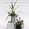 Metal Bucket Planters -Garden Care Shop 8609086 5623 tif