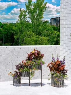 Galvanized Grow Bag Triple Planters With Stand -Garden Care Shop 8609180 0344 tif