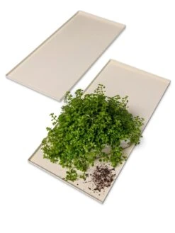 Oslo Grow Light Garden Trays, Set Of 2 -Garden Care Shop 8609187 7686 tif