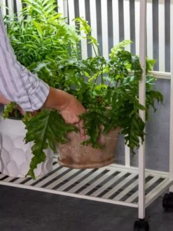 Oslo 2-Tier LED Grow Light Garden, 2 Fixtures -Garden Care Shop 8609220 4122 tif