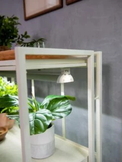 Oslo 2-Tier LED Grow Light Garden, 2 Fixtures -Garden Care Shop 8609221 4101 tif