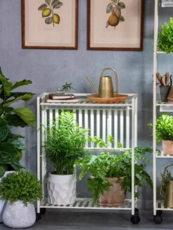 Oslo 2-Tier LED Grow Light Garden, 2 Fixtures -Garden Care Shop 8609221 7236 tif