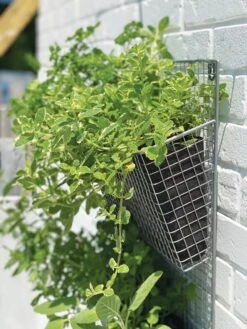 Wire Wall Pockets Vertical Gardens -Garden Care Shop 8609429 9500 tif